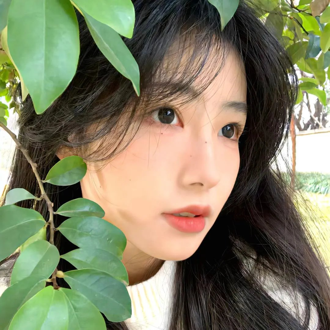 奔驰的大葱